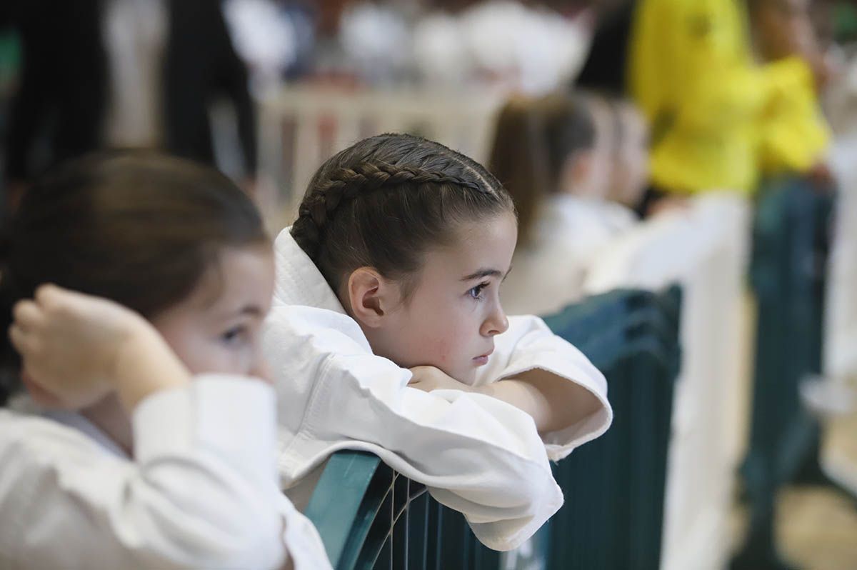 El Campeonato de Andalucía infantil de kárate y de parakárete, en imagenes