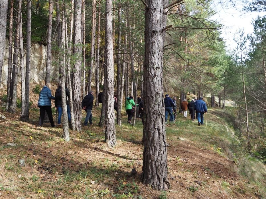 Matinal de natura i gastronomia al Berguedà