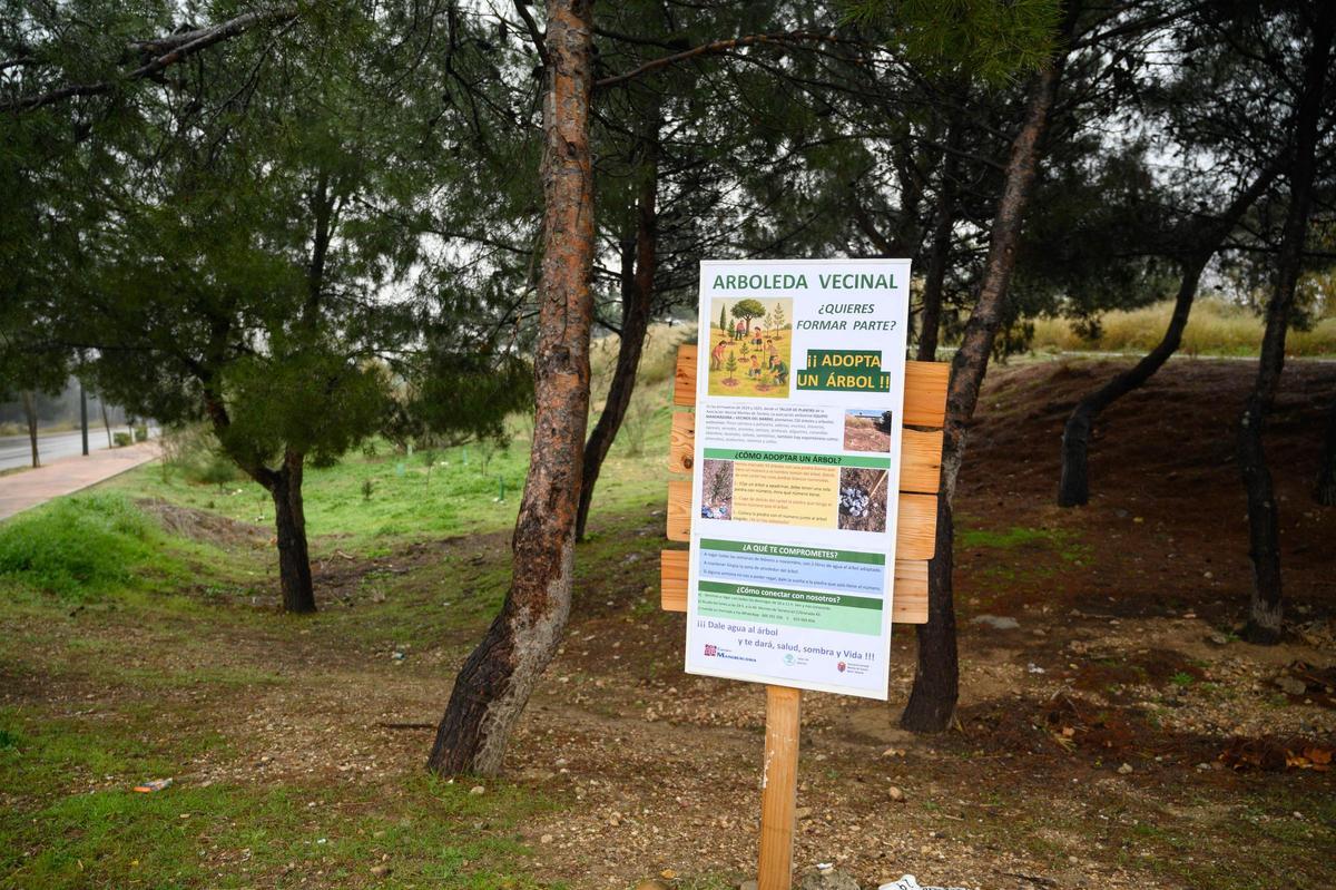 Arboleda vecinal en el solar de Torrero.