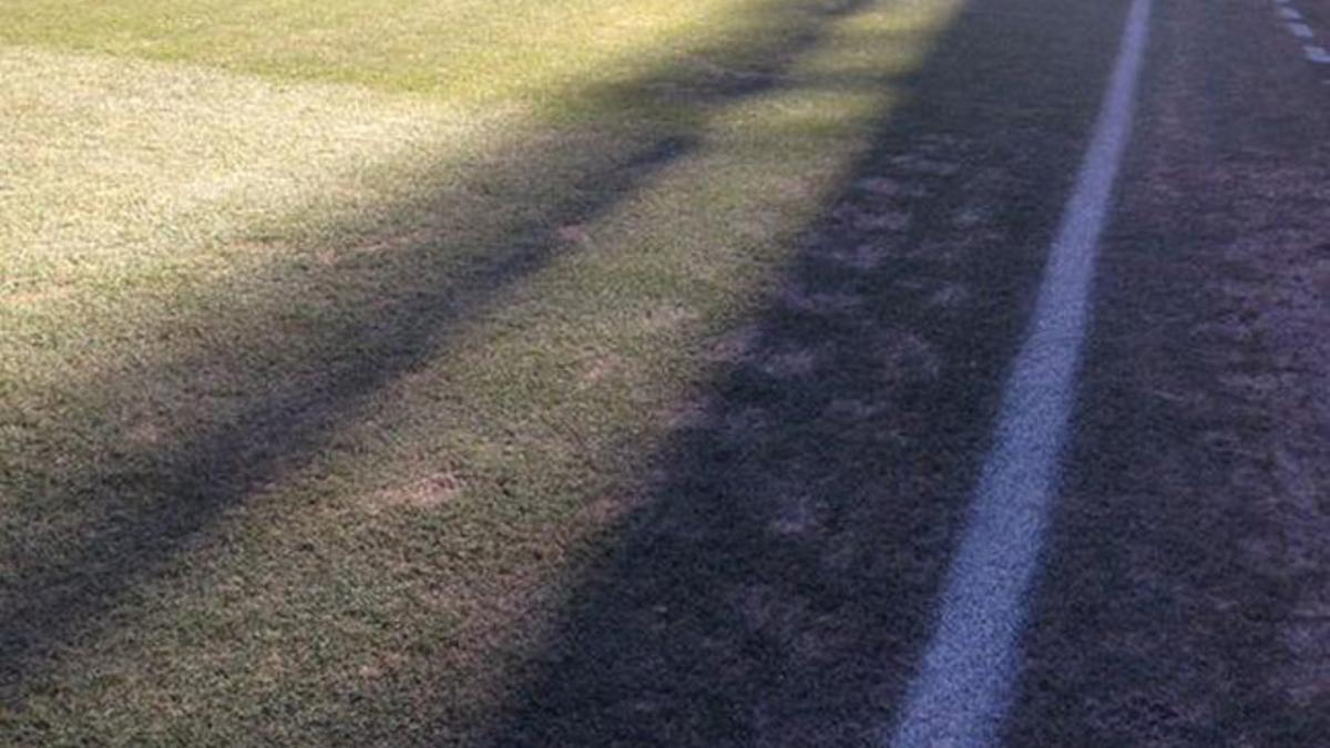 Este era el estado del césped de Vicente Calderón horas antes del partido