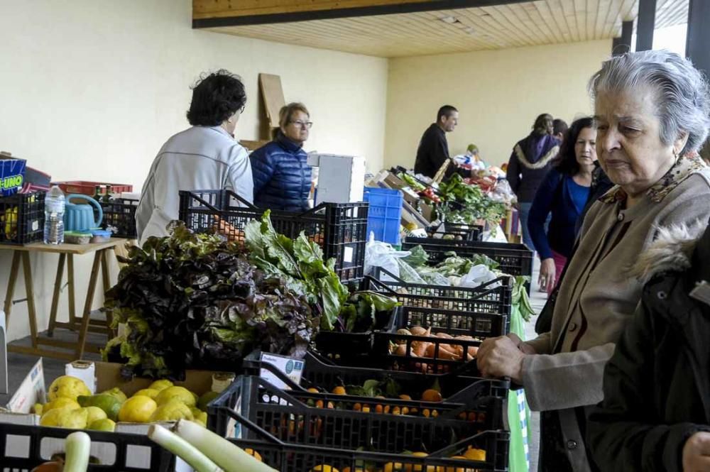 Mercado de berros a 1 euro en Ingenio