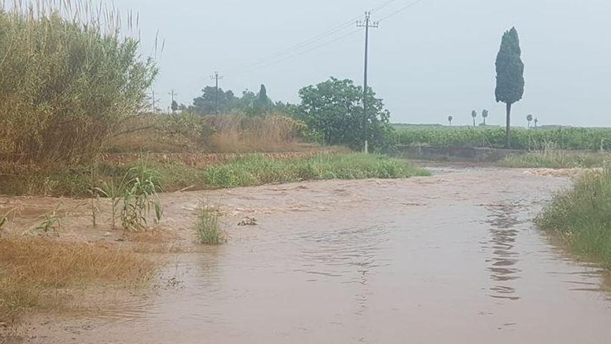 El granizo afecta a 4.000 hectáreas y causa pérdidas de 10 millones