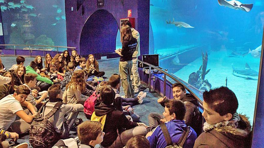 Un dia d’educació ambiental  a l’Oceanogràfic de València |  