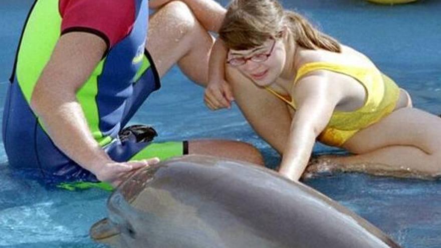 Niños de todo el mundo con diversas patologías acuden a Mundomar para recibir delfinoterapia