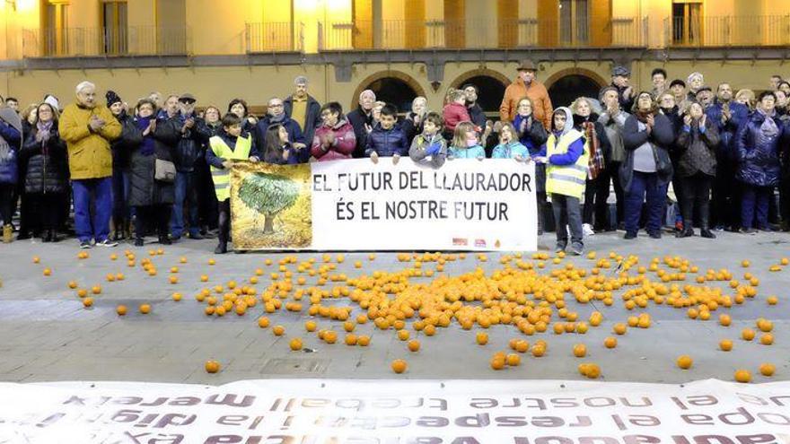 La crisis de rentabilidad coloca al campo de 
Castellón en una situación límite