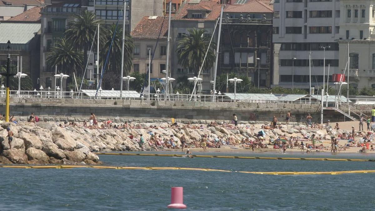 El experimento que se hará en Gijón buscando la protección de las playas contra las carabelas portuguesas probará varios tipos de barreras