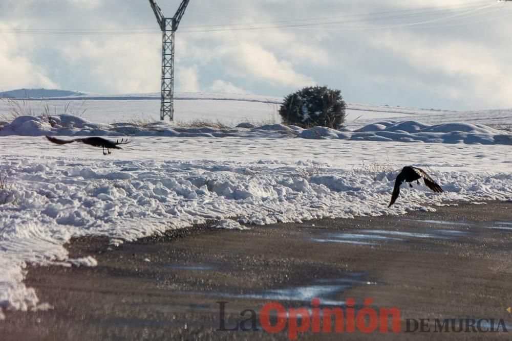 La nieve sigue siendo protagonista en el Noroeste