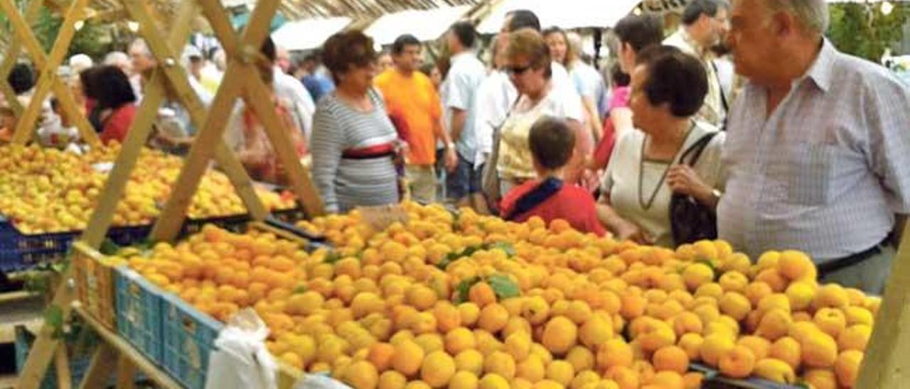 Un puesto de venta de naranjas en el mercado de Porreres.