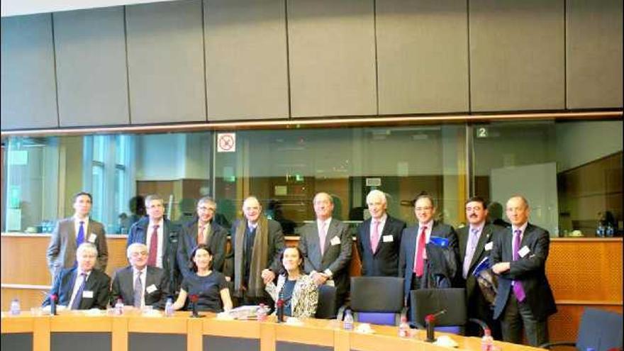 Representantes de la delegación asturiana, ayer, en Bruselas, con algunos de los europarlamentarios que participaron en la reunión.