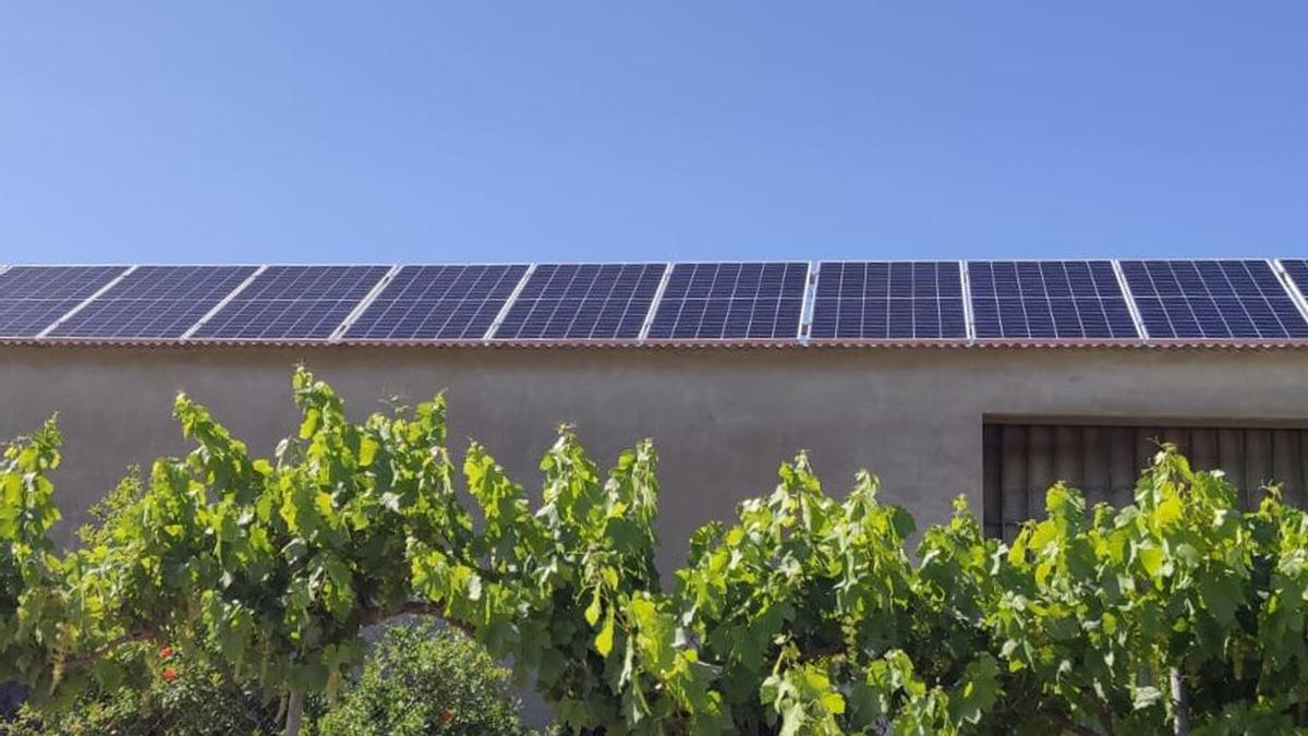 Las placas fotovoltaicas lucen cada día en más tejados