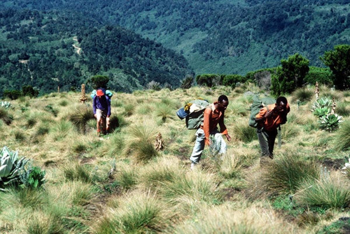 Trekking en el Monte Kenia.