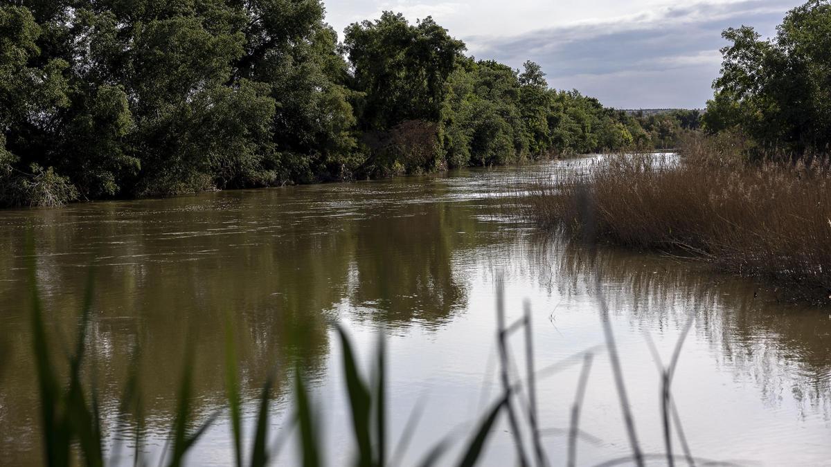 Los caudales ecológicos del río Tajo están en el centro de la nueva guerra del agua.