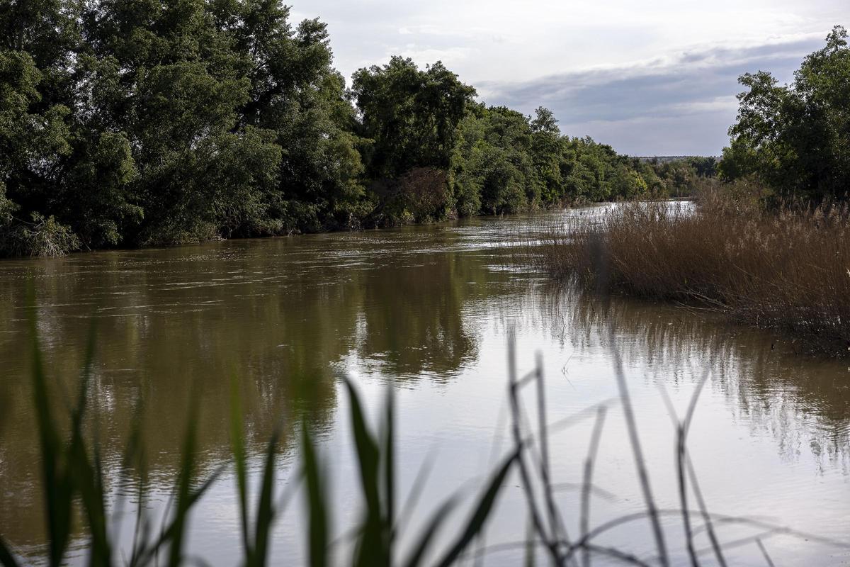 Los caudales ecológicos del río Tajo están en el centro de la nueva guerra del agua.