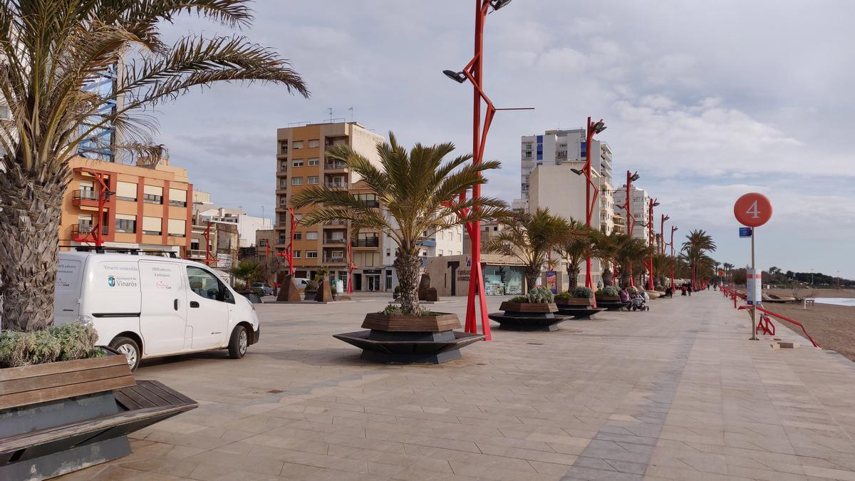 Paseo de Vinaròs, con palmeras donde se ha detectado presencia de cotorras.