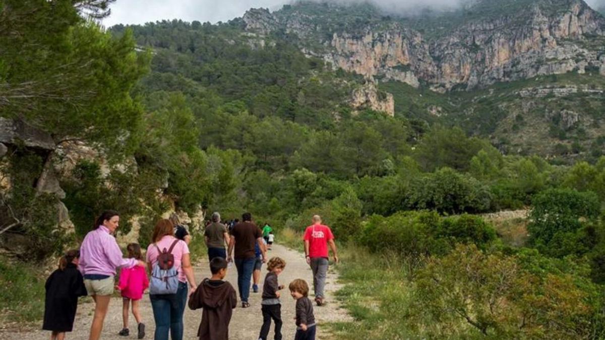 La Safor ha perdido  un tercio del suelo agrícola desde 1950 