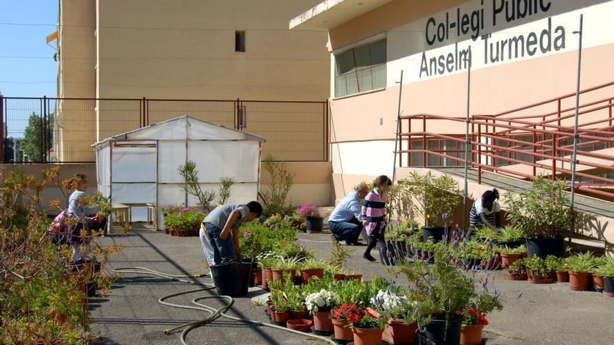 El exterior del colegio Anselm Turmeda será pintado.