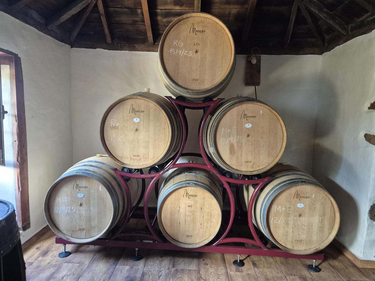 Alguna de las barricas de la bodega de Michael Candelario.