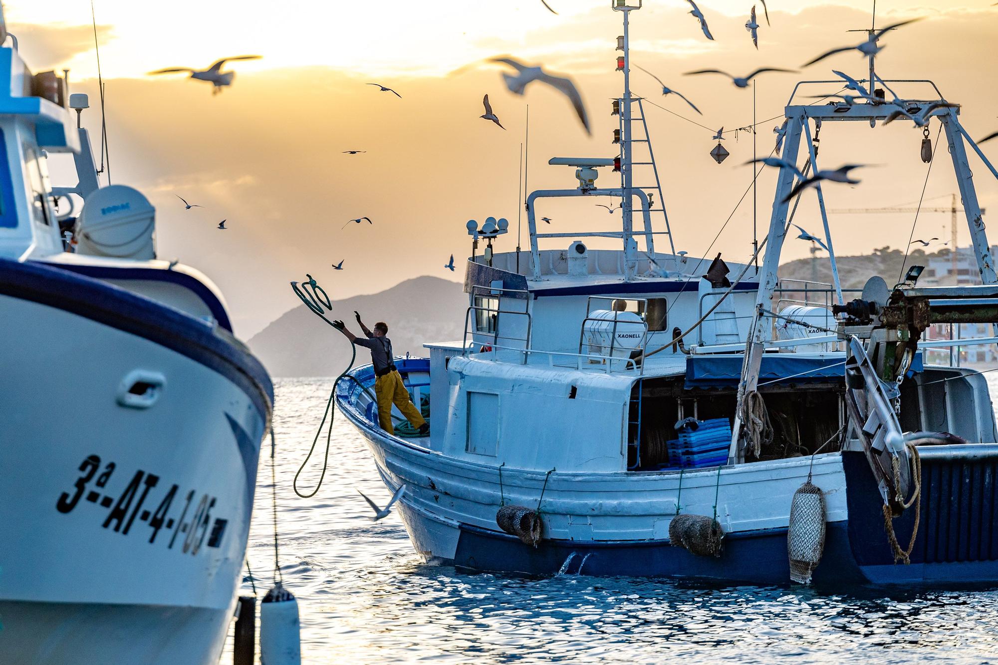 19/11/2021. Rutas sobre la pesca tradicional como reclamo turístico en La Vila. El Ayuntamiento inicia un proyecto para dar a conocer este oficio marinero y atraer visitantes