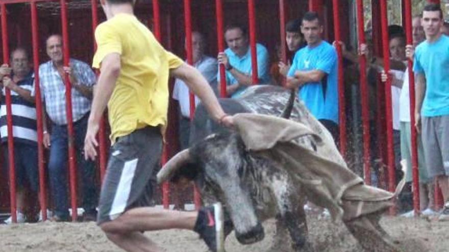 Siguen los encierros en las localidades valencianas.Miembros de la Comissió Centre 98 de Albalat dels Sorells. f estebanEncierro en Xilxes. f fany taurinaEl toro de San Román en Almenara. f f. taurinaEl recortador Soret, en los festejos de Nules. f f. taurinaUna de las vacas en los «bous al carrer» de Benicàssim. f f. taurina