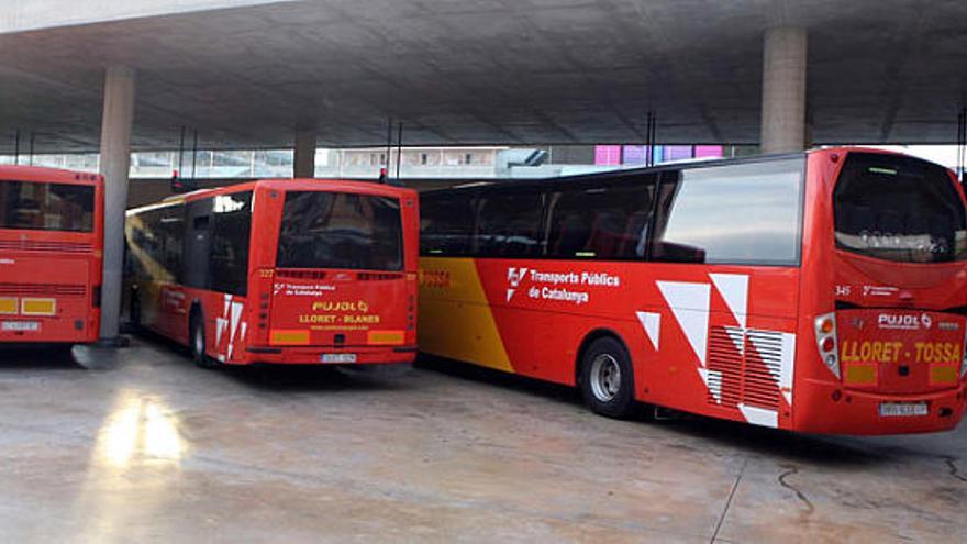 Disposar de dos autobusos per a la L-2 suposarà una freqüència de pas cada 20 minuts i no cada 40 minuts.