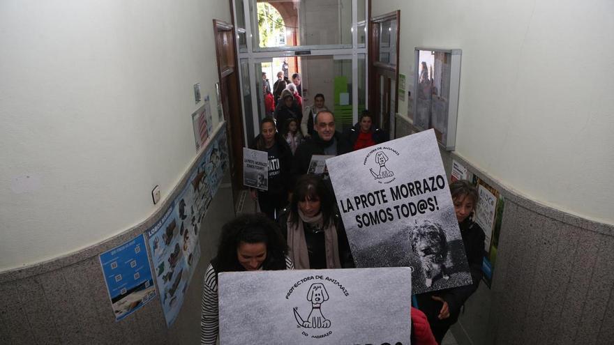 La Protectora dejará de recoger perros en Bueu por los incumplimientos del convenio por parte del Concello
