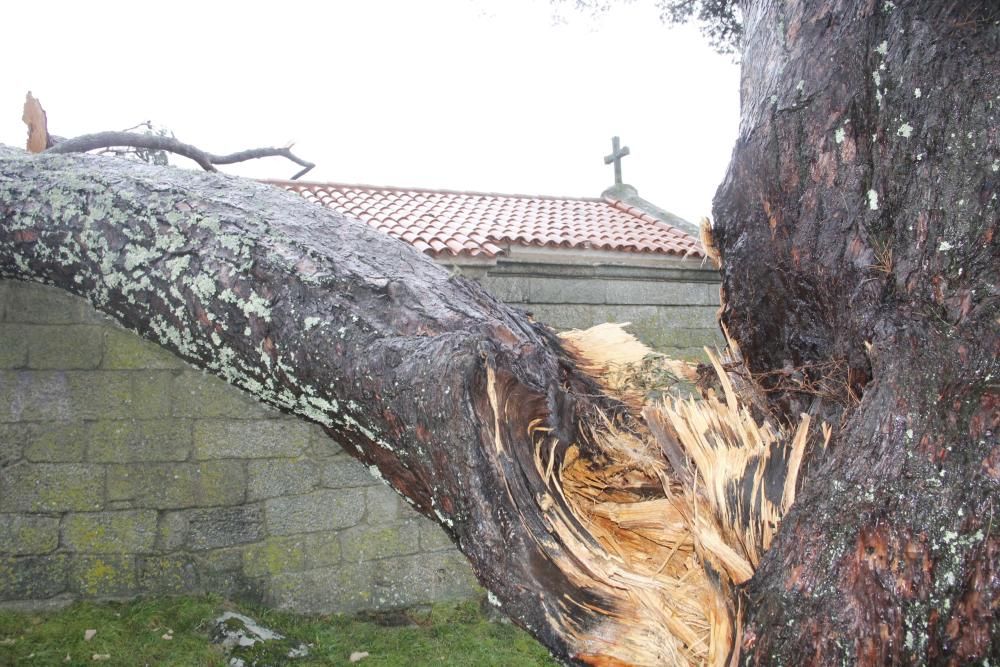 Efectos del temporal en O Morrazo