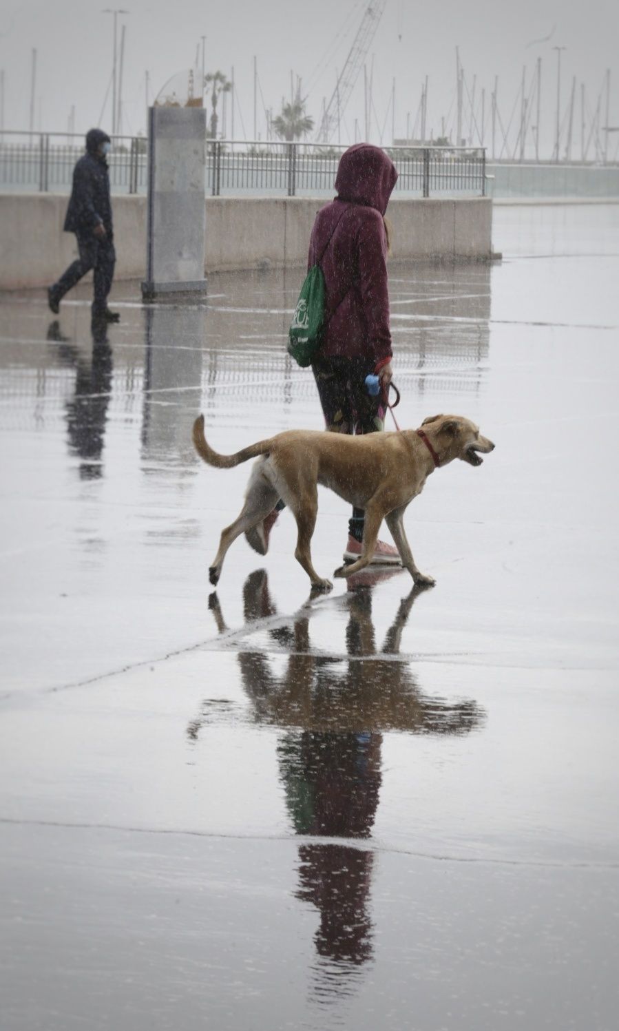 Alerta amarilla en Tenerife