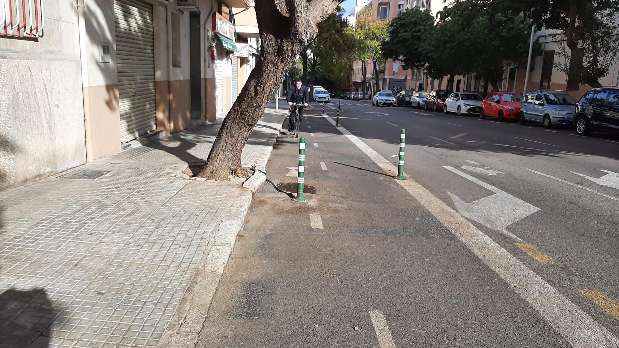 NICETO ALCALÁ ZAMORA - Un bolardo de plástico colocado en medio del carril bici avisa -y obstaculiza- a los ciclistas de que un árbol asoma.