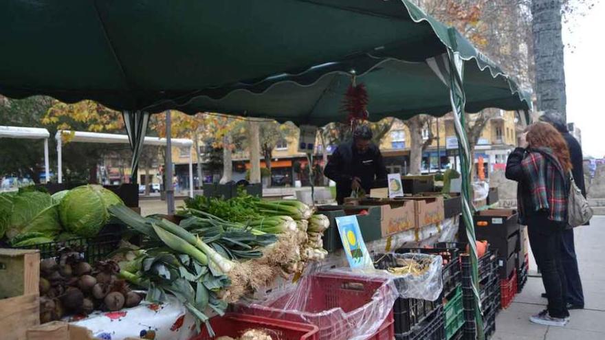 Uno de los puestos del mercado ecológico celebrado en enero en La Marina.