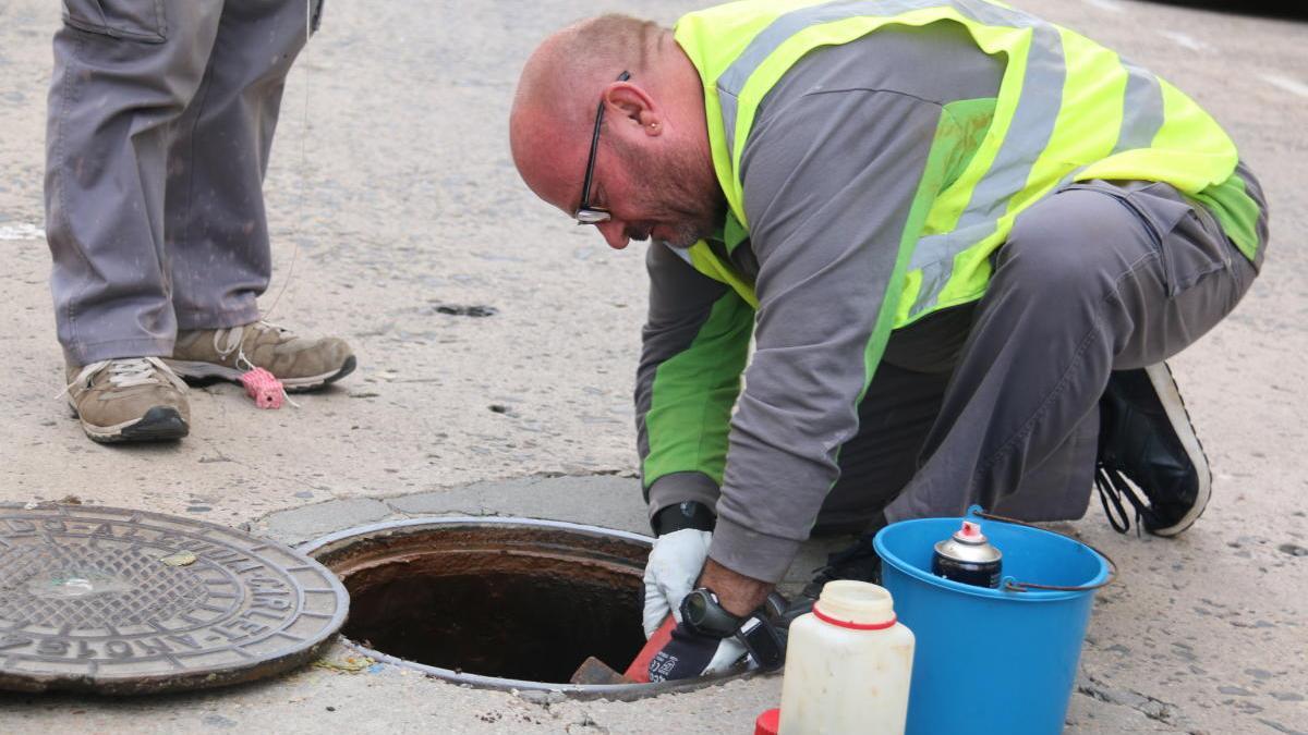 Tratamiento contra plagas en el alcantarillado.