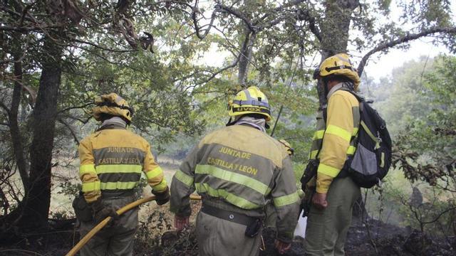 Bomberos forestales en las labores de extinción de un incendio durante la pasada campaña. | A. S.