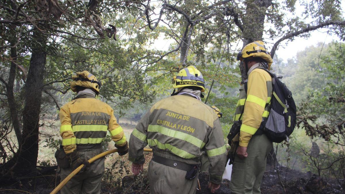Bomberos forestales en las labores de extinción de un incendio durante la pasada campaña.  | A. S.
