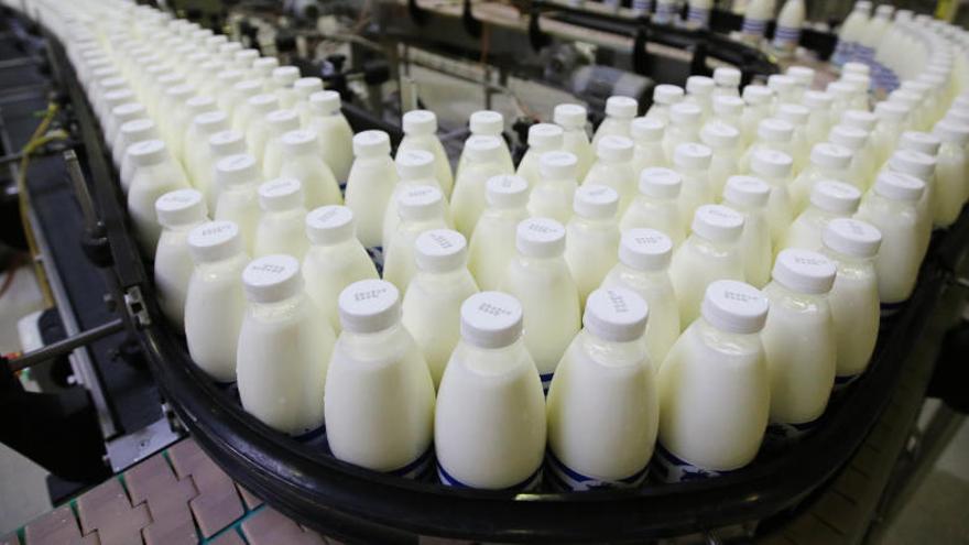 Multa histórica de Competencia al sector de la leche.