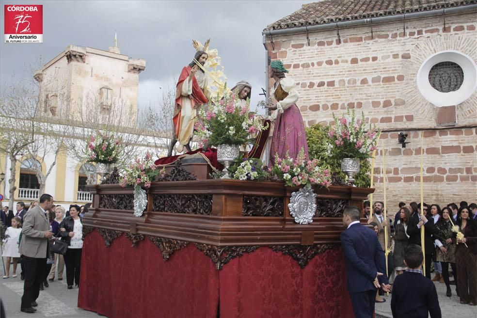 FOTOGALERÍA / El Domingo de Ramos en la provincia