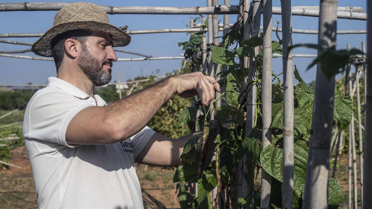 La agricultura tradicional se rebela