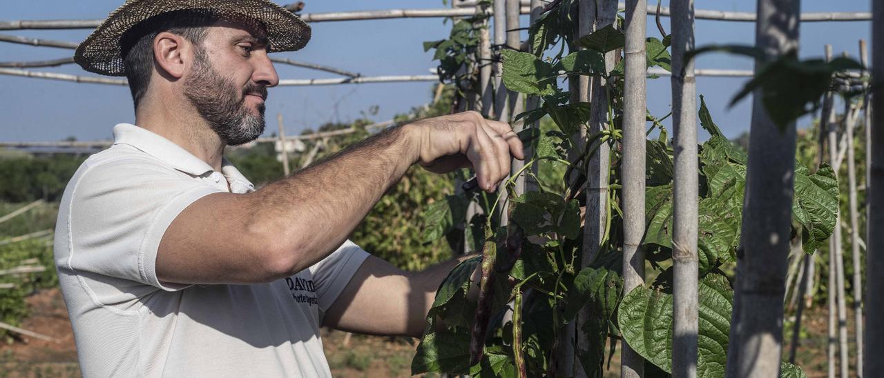 La agricultura tradicional se rebela