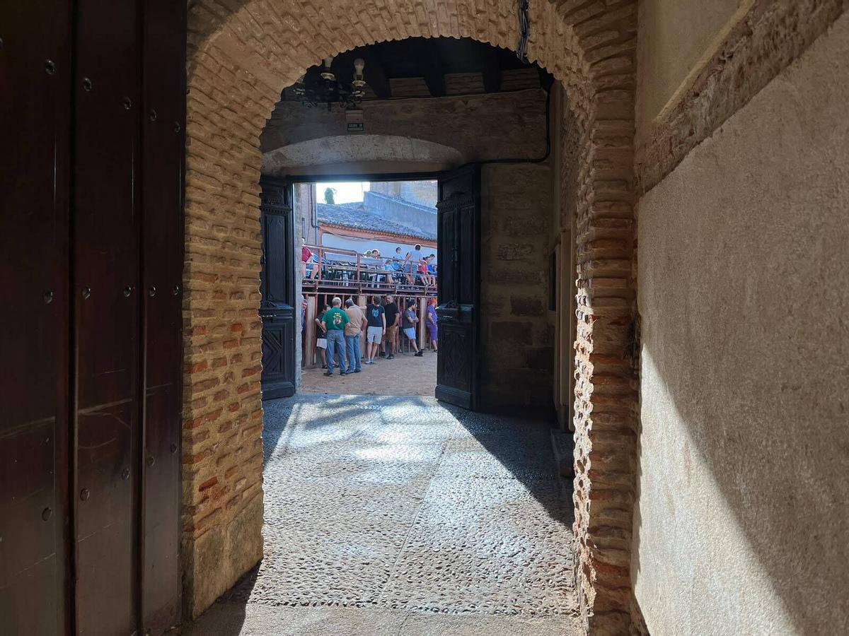 San Roque en Morales de Toro, 2026_2