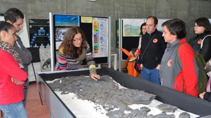 Laura Piñuela, investigadora del Muja, muestra a los visitantes de la semana pasada el esqueleto de ictiosaurio que tienen en el museo.