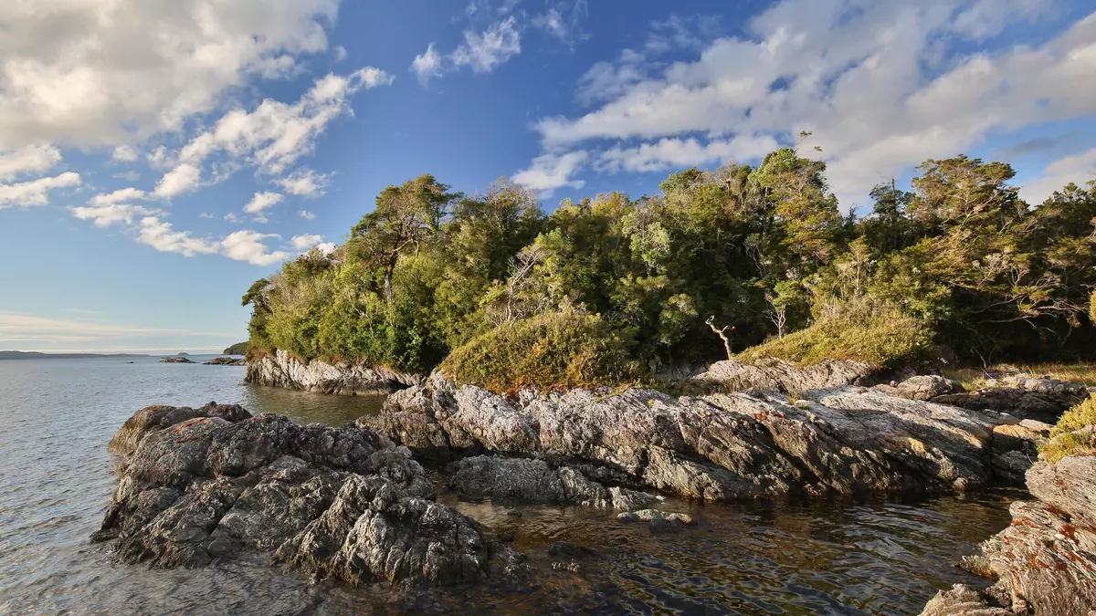Así es Guafo, la isla-santuario de Chile que Di Caprio ha comprado para preservarla