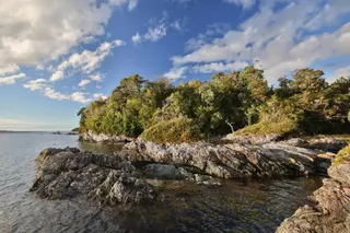 Así es Guafo, la isla-santuario de Chile que Di Caprio ha comprado para preservarla