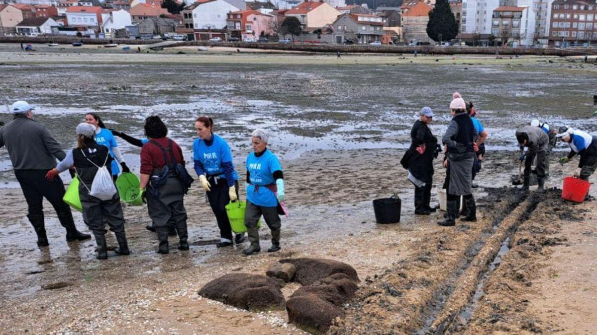 Una edición anterior de «Mar sen Lixo».