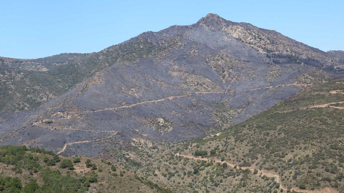 Zona de Portbou afectada per l'incendi.