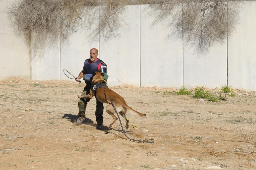 El Grupo de Refuerzo Operativo de la Policía Local ha estrenado nuevas instalaciones en Torrevieja después de una espera de casi dos años