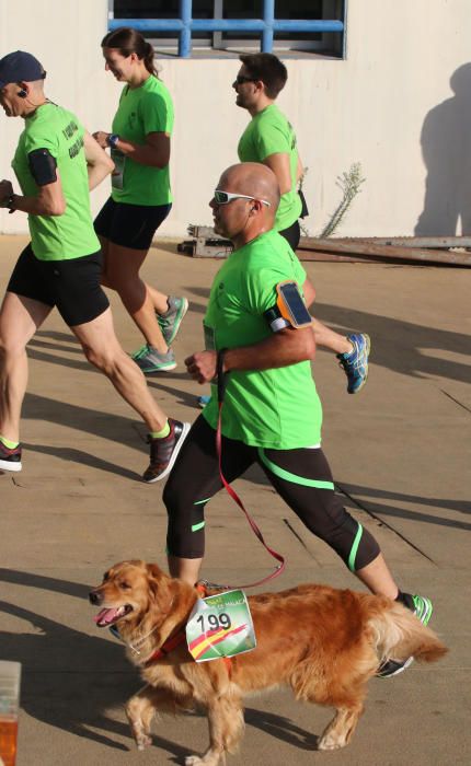 Búscate en la II Carrera Popular de la Guardia Civil