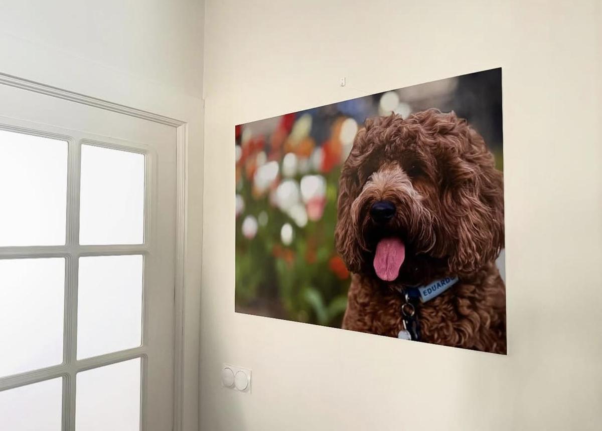 El cuadro en la casa de Blanca Portillo con su perro como protagonista