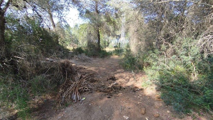 Santa Eulària limpia el vertido de Los Cazadores entre reproches al PSOE