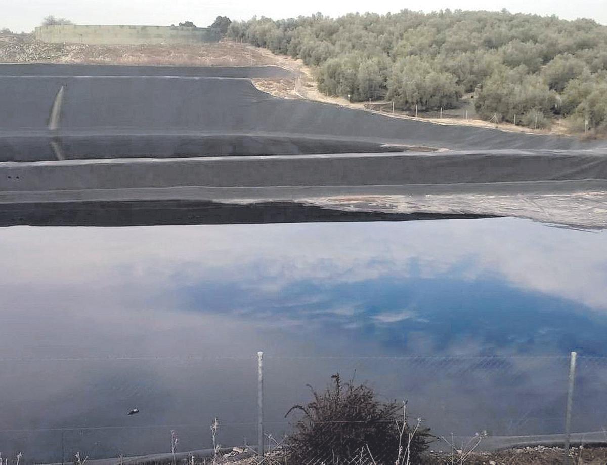 El proyecto puede generar más valor y sostenibilidad a uno de los subproductos que genera este sector.