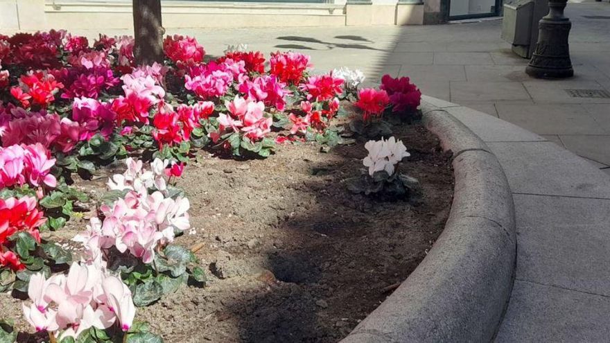 La jardinera de Sagasta fue saqueada el mismo día de la plantación. | J.M.S.