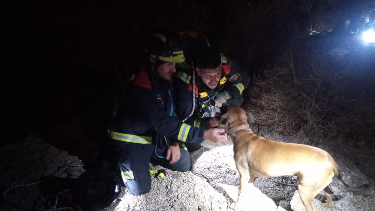 Los bomberos rescatan a un perro en Tenerife.