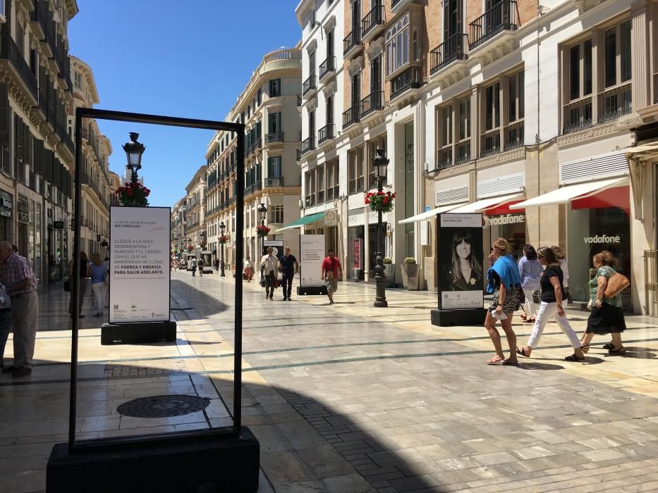 Daños en la exposición de la AECC en la calle Larios.